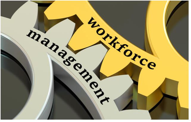 Agility & Adaptability