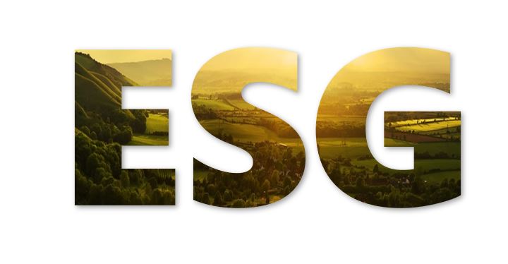 Sustainability Leadership